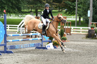 HSM_8065