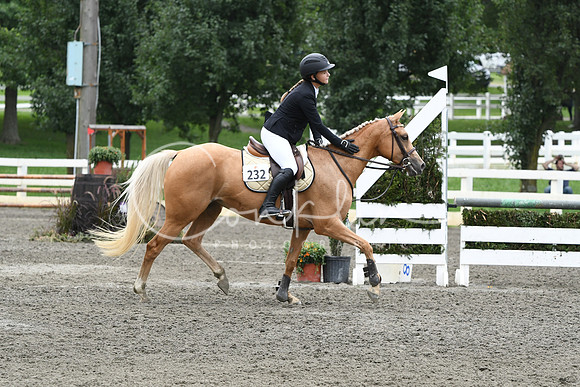 HSM_8068