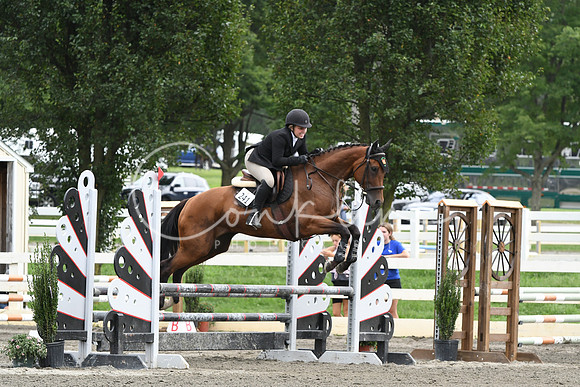 HSM_9075