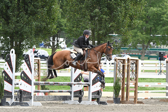 HSM_9076
