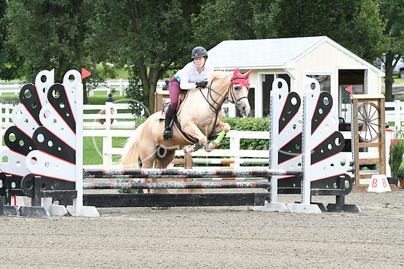 HSM_5610