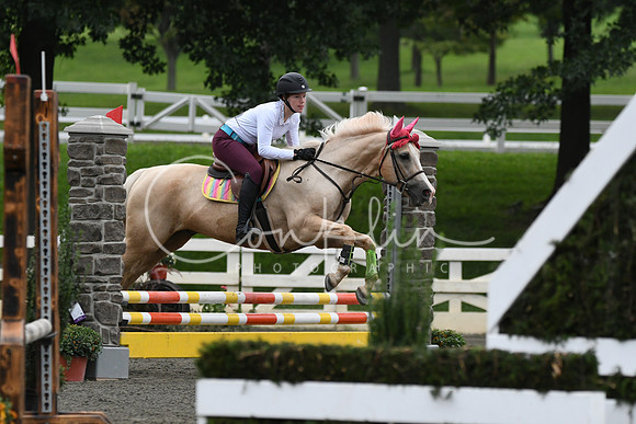 HSM_6271