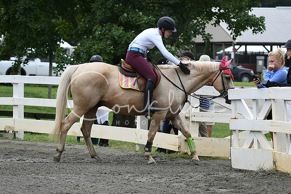HSM_6927