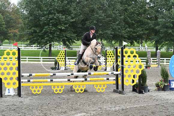 HSM_8373