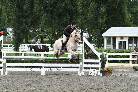 HSM_8379