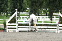 HSM_9305