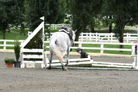 HSM_9309
