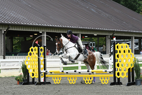 HSM_5909