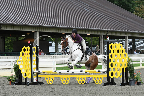 HSM_5908