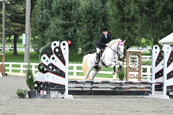 HSM_6037