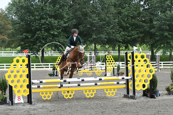 HSM_9175