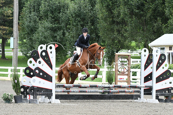 HSM_5967