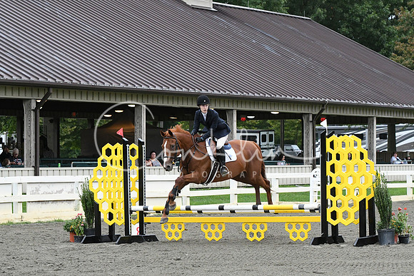 HSM_5976