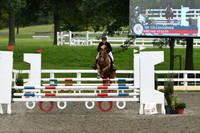 HSM_8229