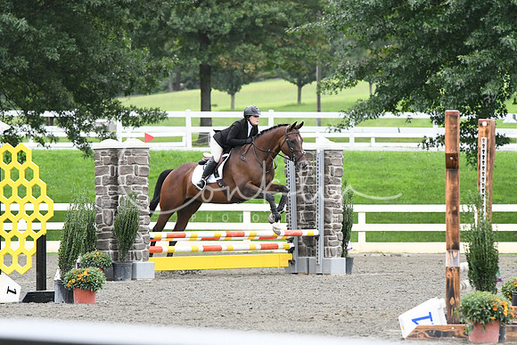 HSM_6193