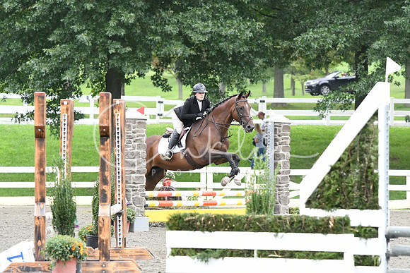 HSM_6194