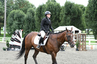 HSM_6203