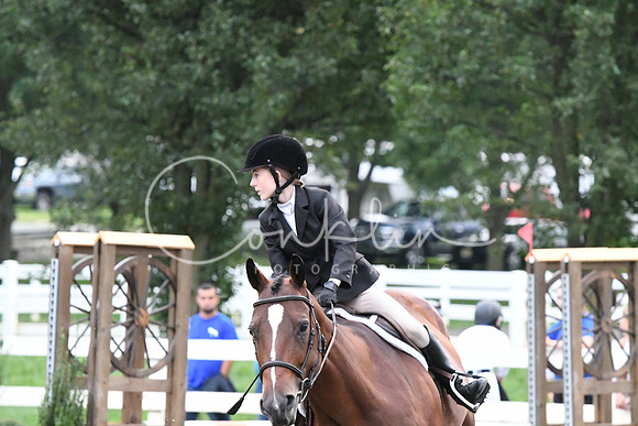 HSM_5620