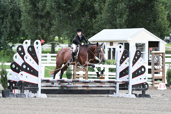 HSM_5619