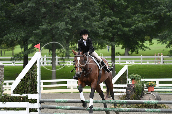 HSM_6561