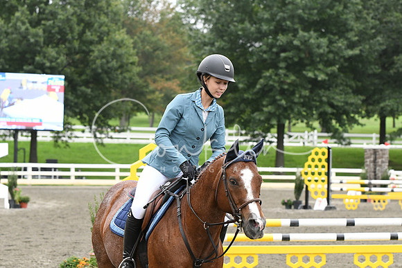 HSM_9293