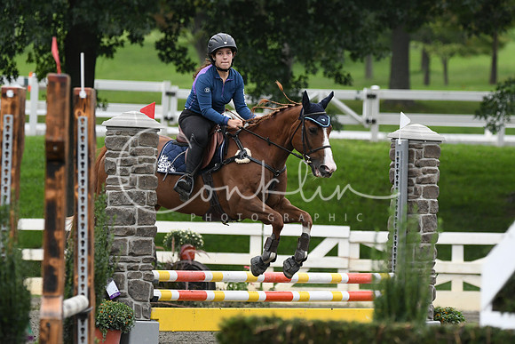 HSM_6589