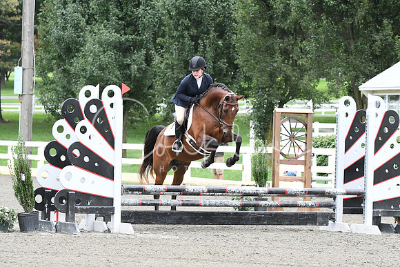 HSM_5915