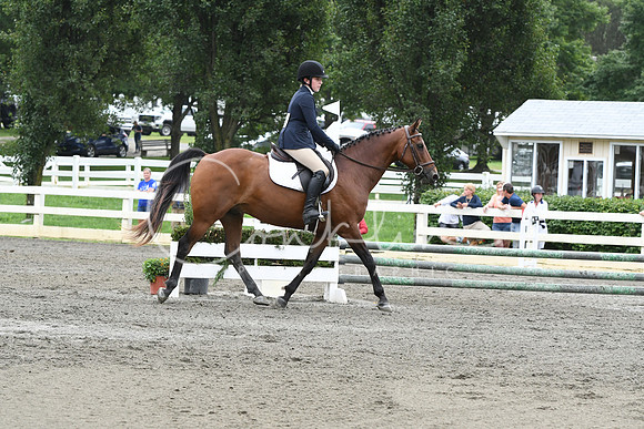 HSM_7393