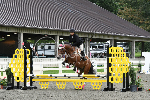 HSM_5848