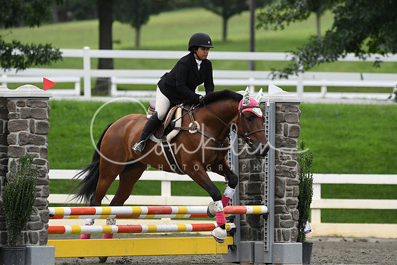 HSM_6519