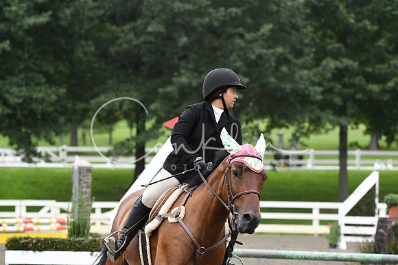 HSM_6523