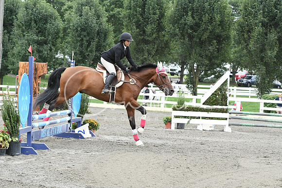 HSM_7295