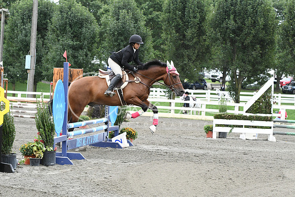 HSM_7294