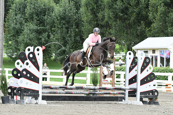 HSM_5871