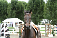 HSM_5883
