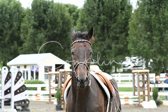 HSM_5883