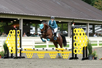 HSM_6118