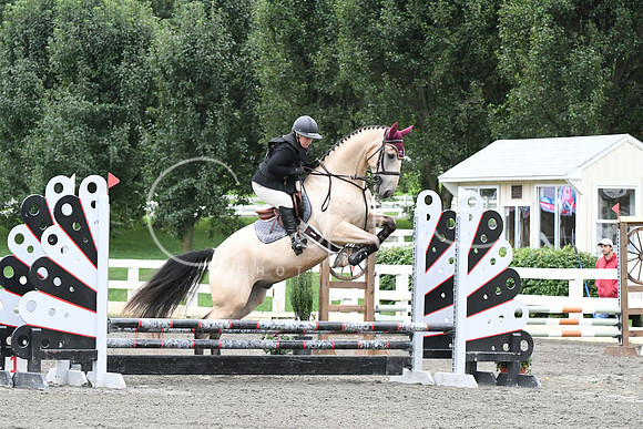 HSM_6208