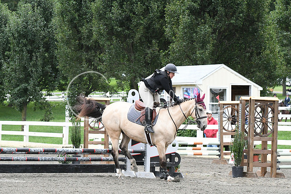 HSM_6213