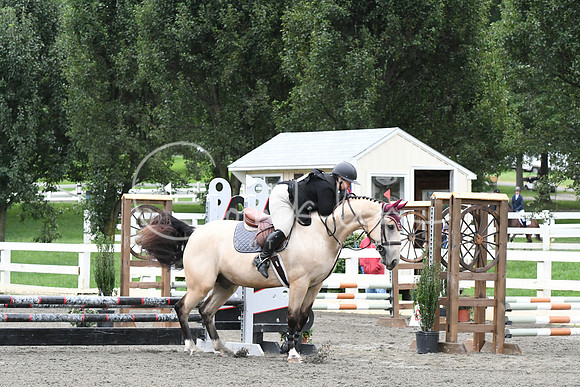 HSM_6214