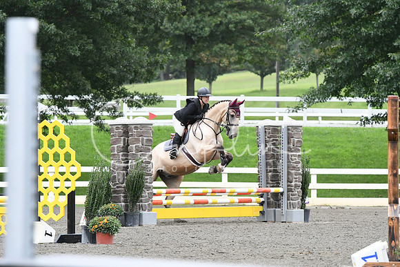 HSM_6223