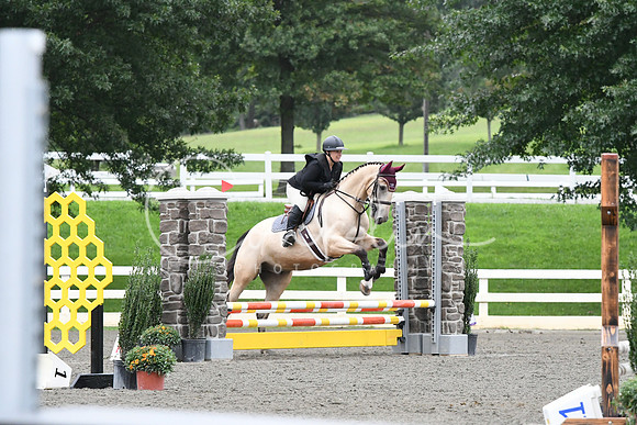 HSM_6224