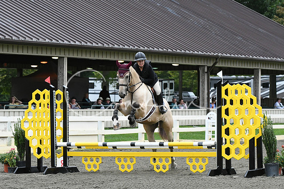 HSM_6231