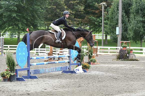 HSM_8295
