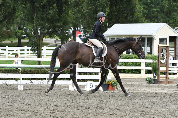 HSM_8306