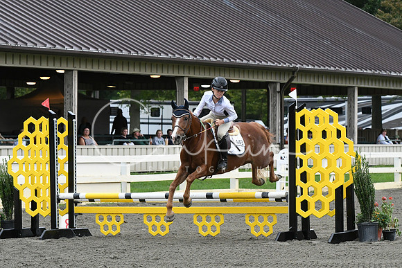 HSM_6177