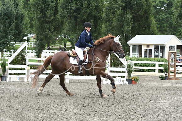 HSM_7801