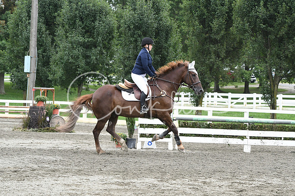HSM_8736