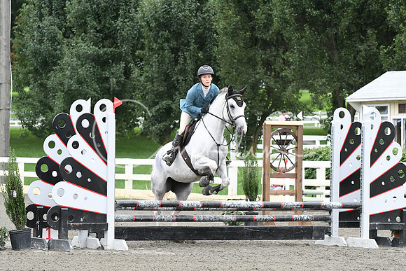HSM_5951