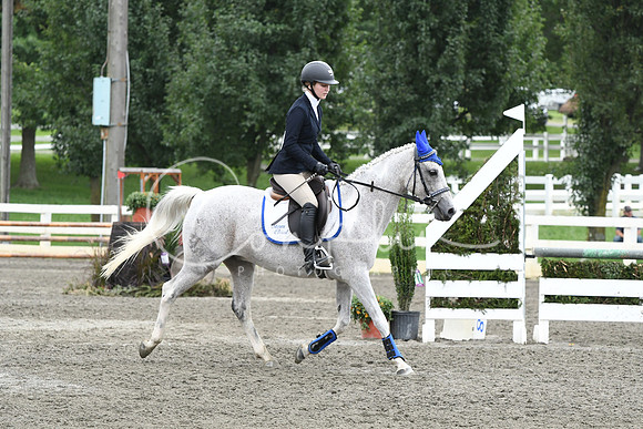 HSM_8160